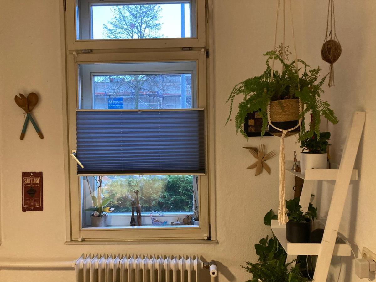 Garten In Lueneburgs Zentrum * Luneburg
